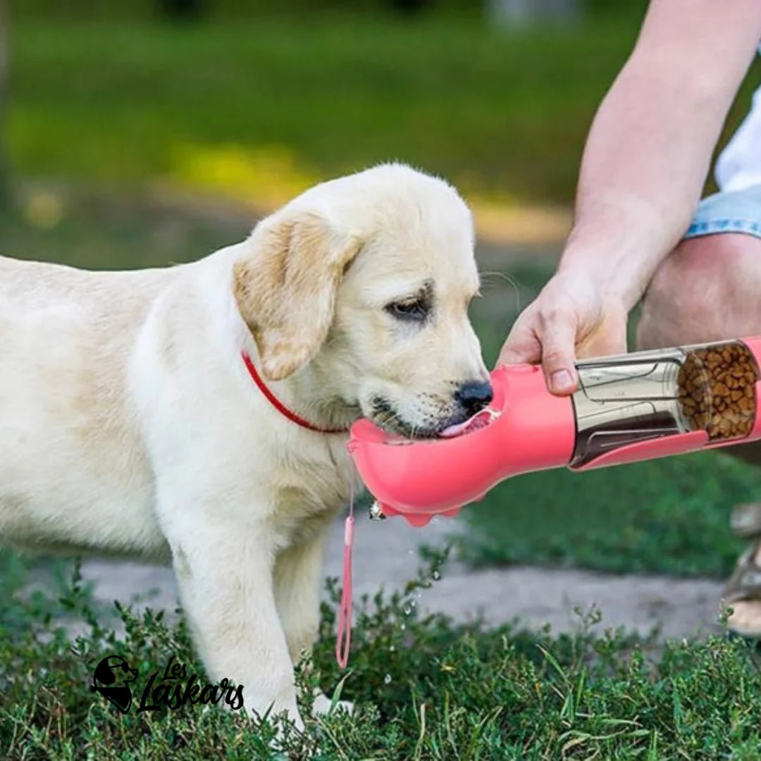 Bouteille d'eau pour chien-3en1 - LA PATTE DE KITA