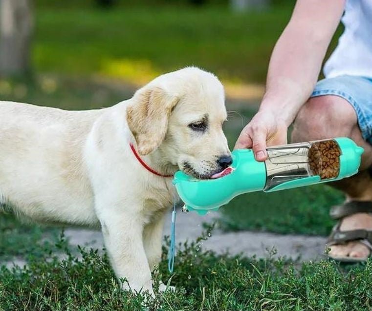 Bouteille d'eau pour chien-3en1 - LA PATTE DE KITA