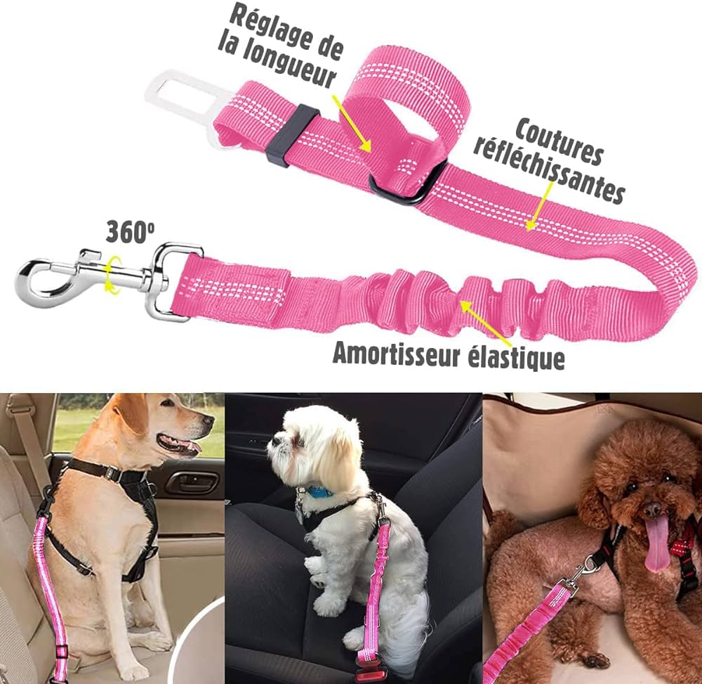 Ceinture de sécurité pour chien-FLEXYSECURITE™ - LA PATTE DE KITA