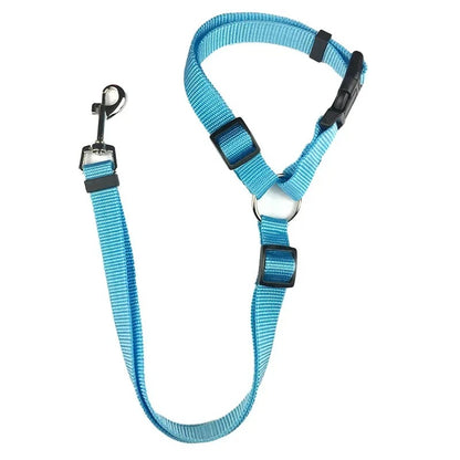 CEINTURE DE SECURITE POUR CHIEN | SECUDOG