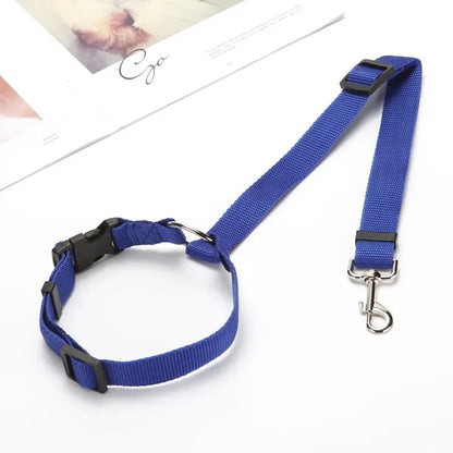 CEINTURE DE SECURITE POUR CHIEN | SECUDOG