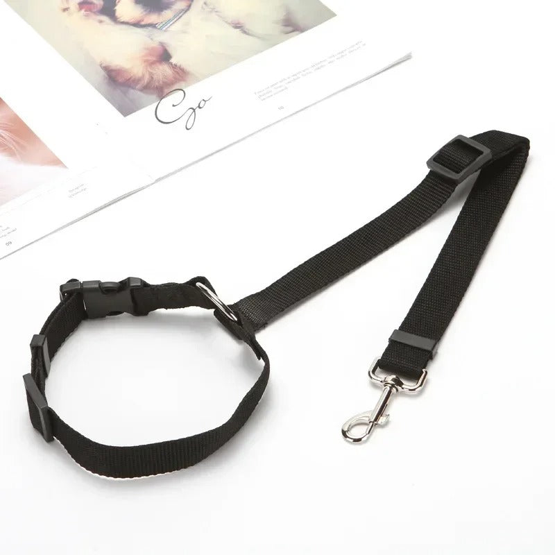 CEINTURE DE SECURITE POUR CHIEN | SECUDOG