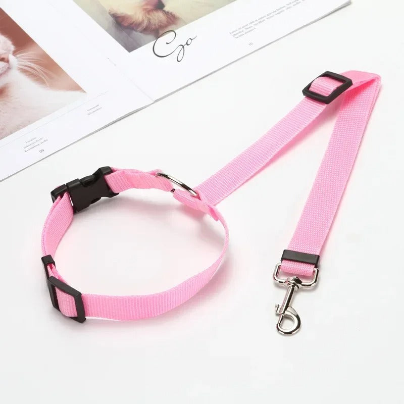 CEINTURE DE SECURITE POUR CHIEN | SECUDOG