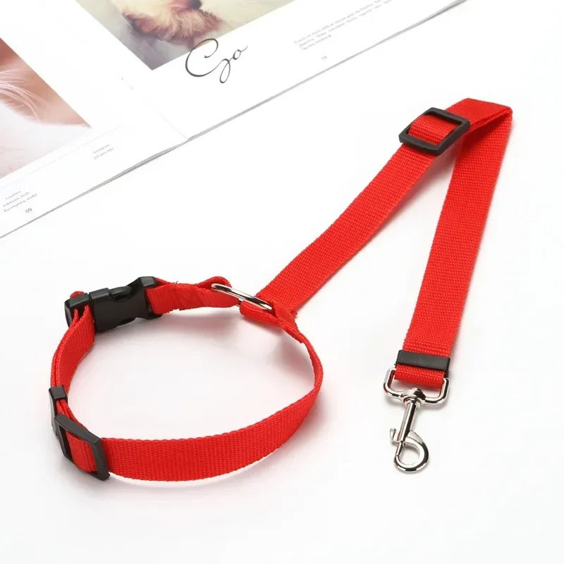 CEINTURE DE SECURITE POUR CHIEN | SECUDOG