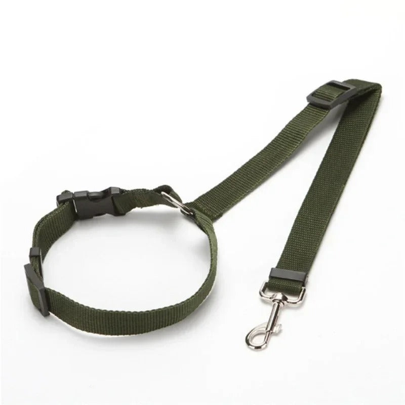 CEINTURE DE SECURITE POUR CHIEN | SECUDOG