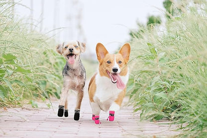 CHAUSSURES POUR CHIEN | MIMI™