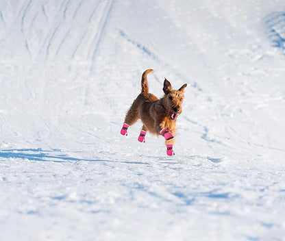 CHAUSSURES POUR CHIEN | MIMI™