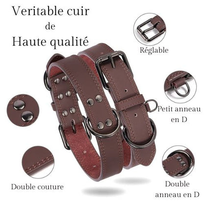 COLLIER POUR CHIEN | CUIR