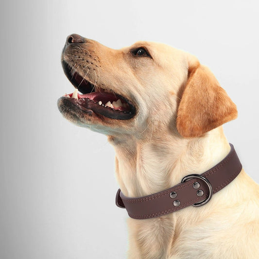 COLLIER POUR CHIEN | CUIR