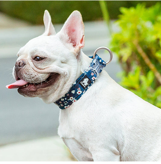 COLLIER POUR CHIEN | BOTANIQUE