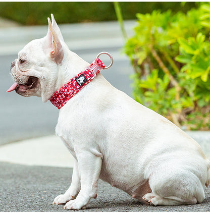 COLLIER POUR CHIEN | BOTANIQUE