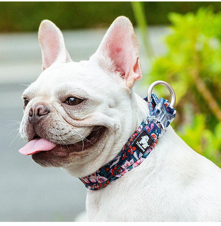 COLLIER POUR CHIEN | BOTANIQUE