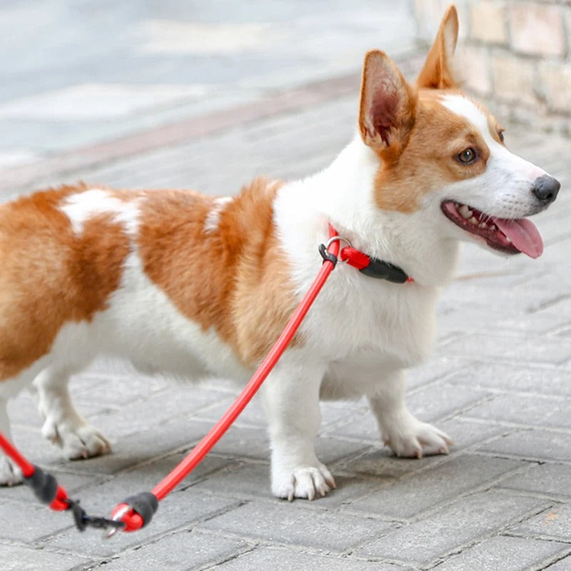 COLLIER POUR CHIEN | CONTROL