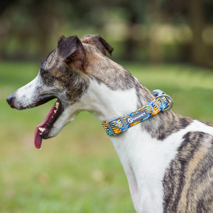 COLLIER POUR CHIEN ZIG-ZAG