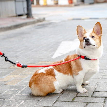 COLLIER POUR CHIEN | CONTROL