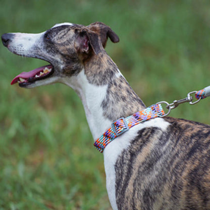 COLLIER POUR CHIEN ZIG-ZAG