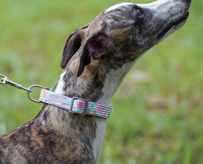 COLLIER POUR CHIEN ZIG-ZAG