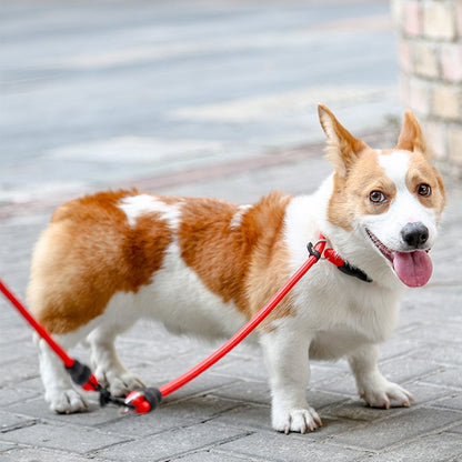 COLLIER POUR CHIEN | CONTROL