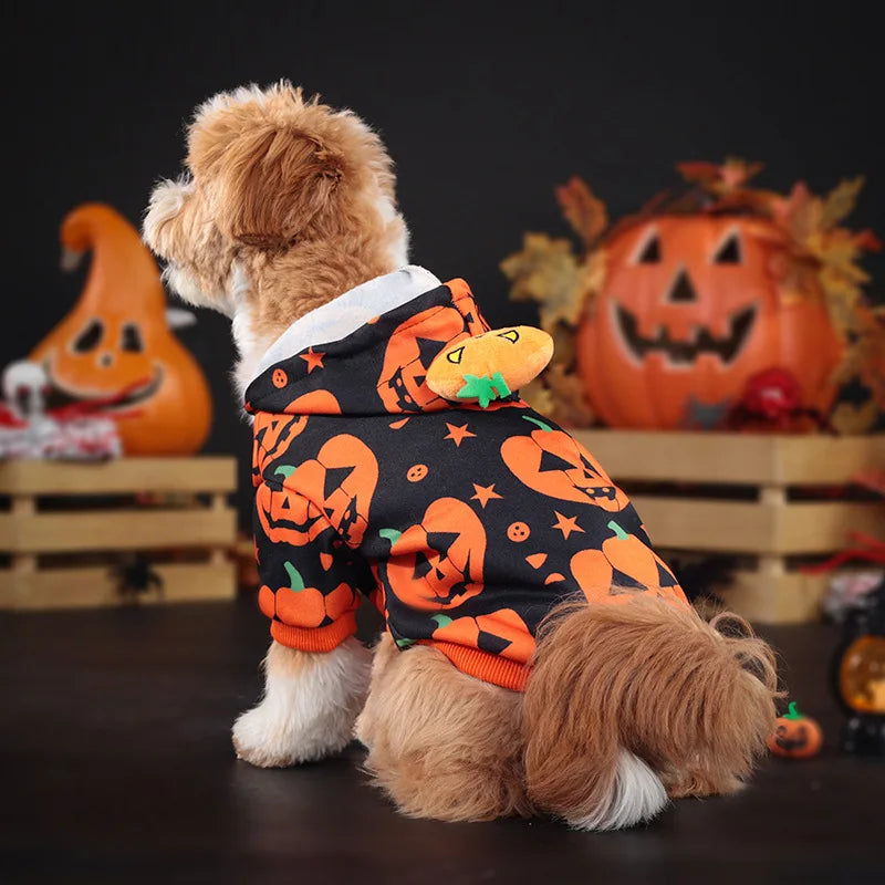 DÉGUISEMENT CHIEN HALLOWEEN | PUMPKIEDOG