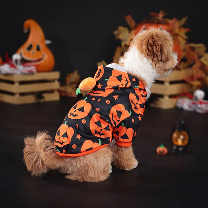 DÉGUISEMENT CHIEN HALLOWEEN | PUMPKIEDOG