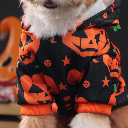 DÉGUISEMENT CHIEN HALLOWEEN | PUMPKIEDOG