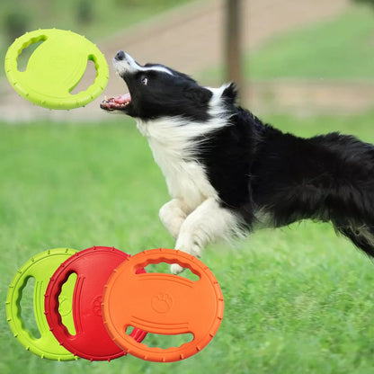 FRISBEE POUR CHIEN| Pat™