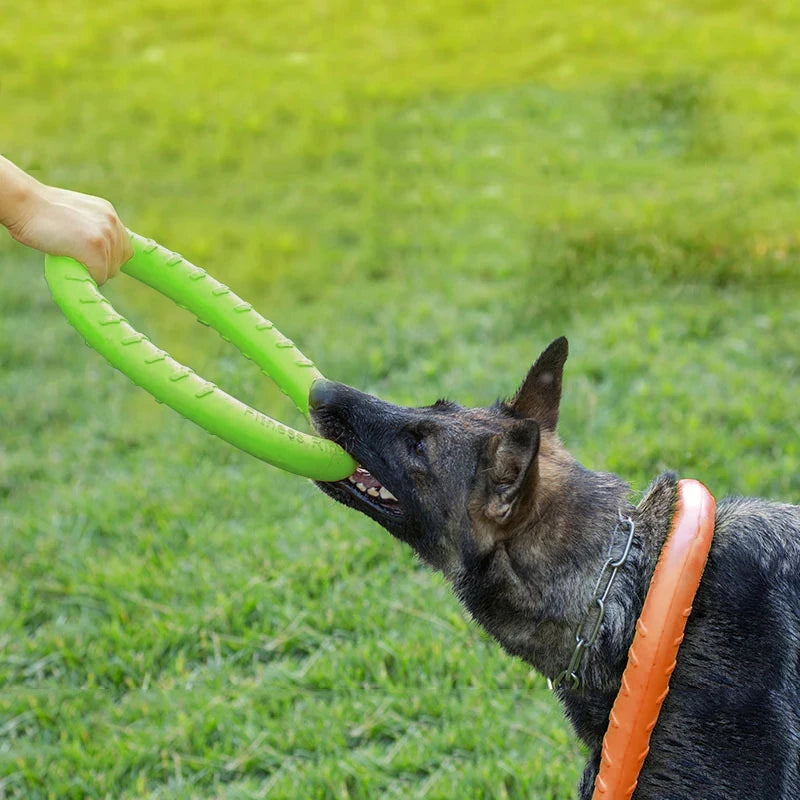 Jouet pour chien | Anneau™