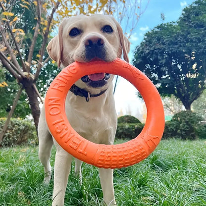 Jouet pour chien | Anneau™