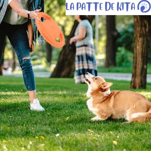 FRISBEE POUR CHIEN| Pat™