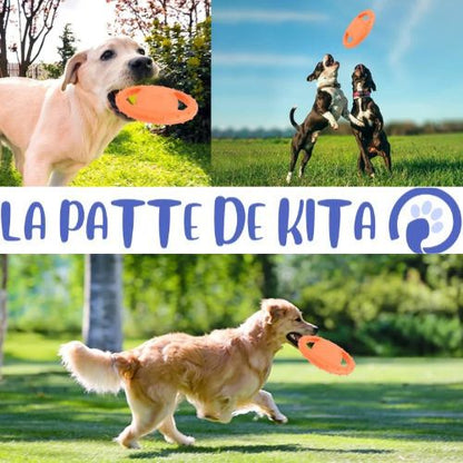 FRISBEE POUR CHIEN| Pat™