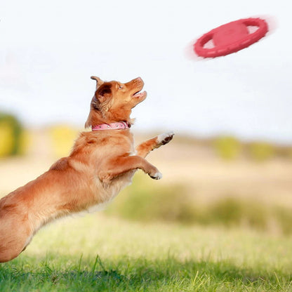 FRISBEE POUR CHIEN| Pat™