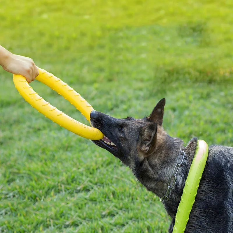 Jouet pour chien | Anneau™