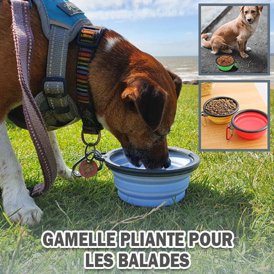 GAMELLE PLIABLE POUR CHIEN | VOLA™