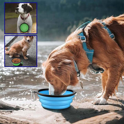 GAMELLE PLIABLE POUR CHIEN | VOLA™