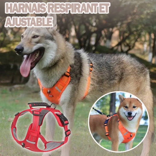 Harnais anti traction chien FLUO™ Sécurité, Confort et Contrôle pour votre Chien - LA PATTE DE KITA