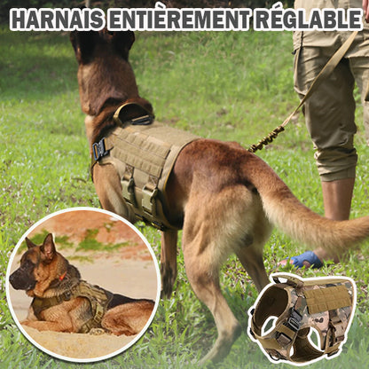 HARNAIS POUR CHIEN | SETSECURITY-DOG