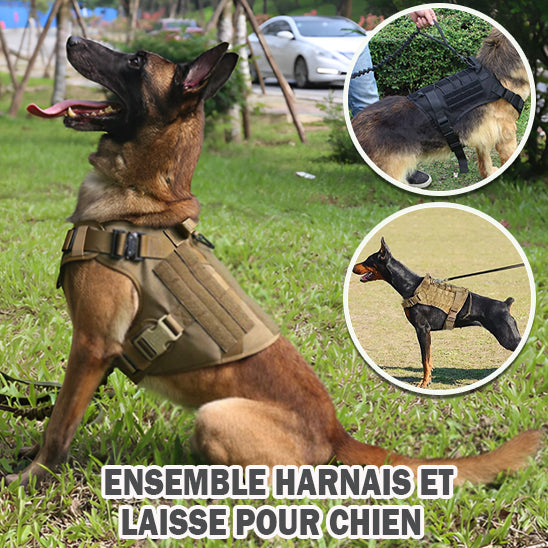 HARNAIS POUR CHIEN | SETSECURITY-DOG