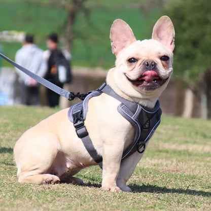 HARNAIS POUR CHIEN | DOGY