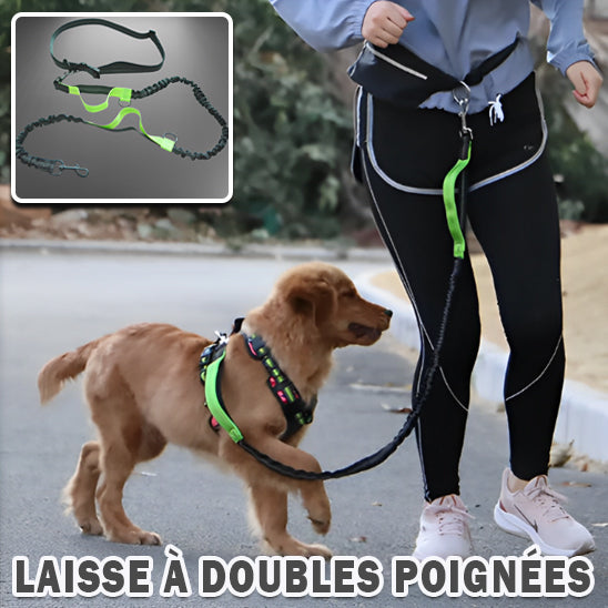 LAISSE POUR CHIEN | LIBRE™