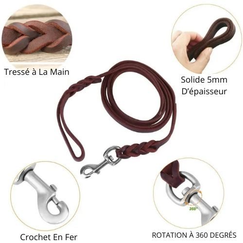 laisse pour chien | Tresse