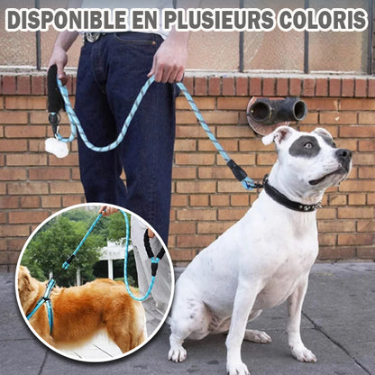 LAISSE POUR CHIEN CORDE | Corde™