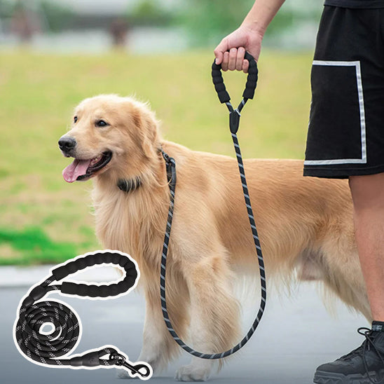 LAISSE POUR CHIEN CORDE | Corde™