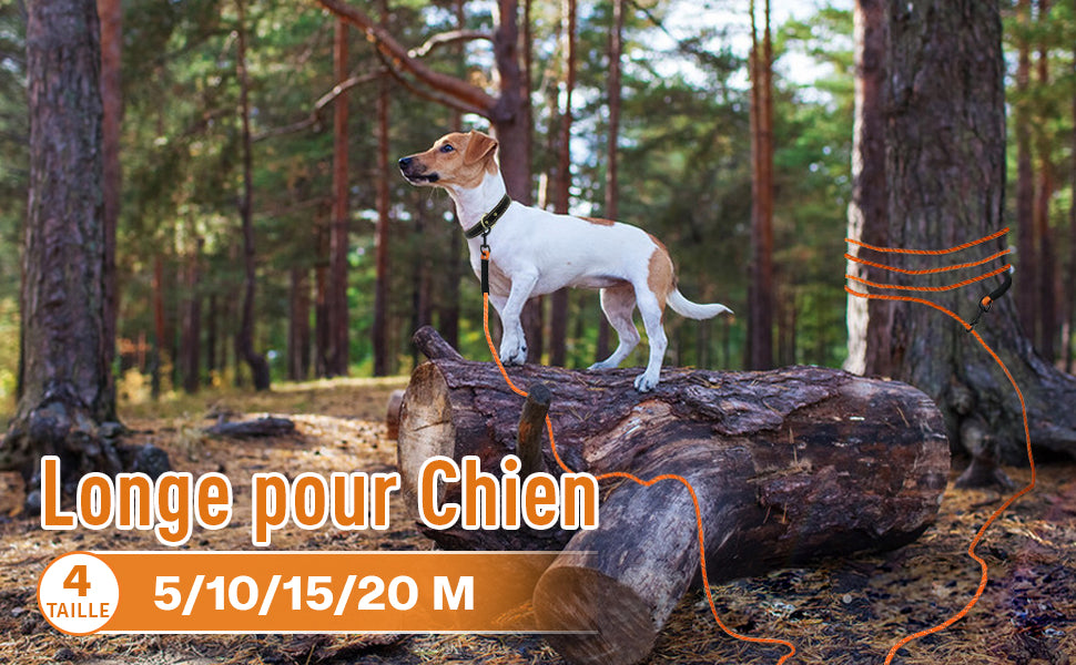 LONGE POUR CHIEN | LUNGY™