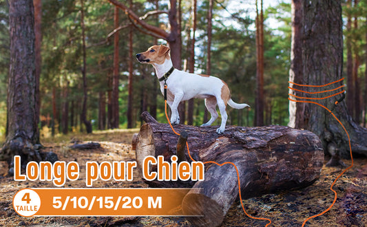 LAISSE POUR CHIEN | LUNGY™