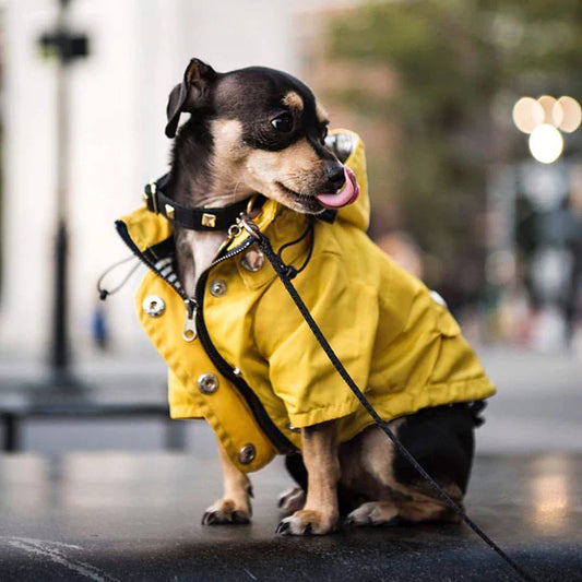 MANTEAU POUR CHIEN | MARINE