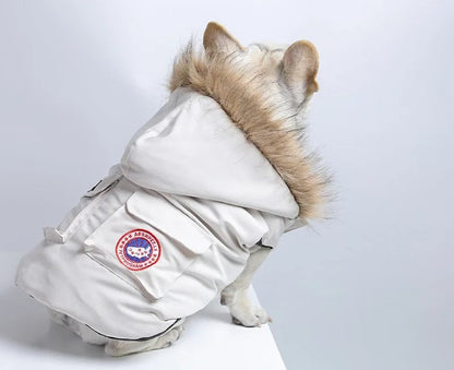 MANTEAU POUR CHIEN | CAPU