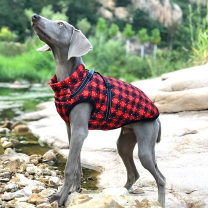 MANTEAU POUR CHIEN | HARNAISDOG™