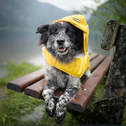 MANTEAU POUR CHIEN | REFLYDOG™