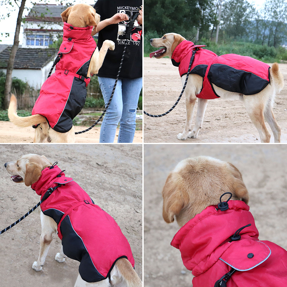 MANTEAU POUR CHIEN | RANDO