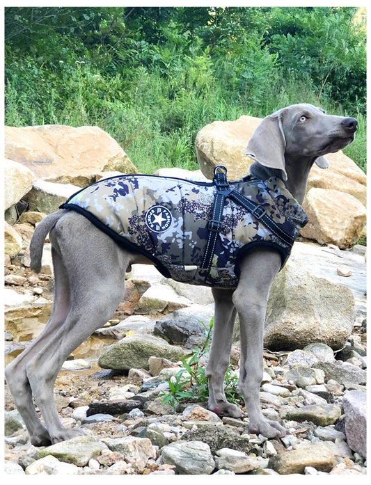 MANTEAU POUR CHIEN | HARNAISDOG™